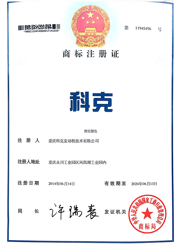 科克-第42类-11945496-1