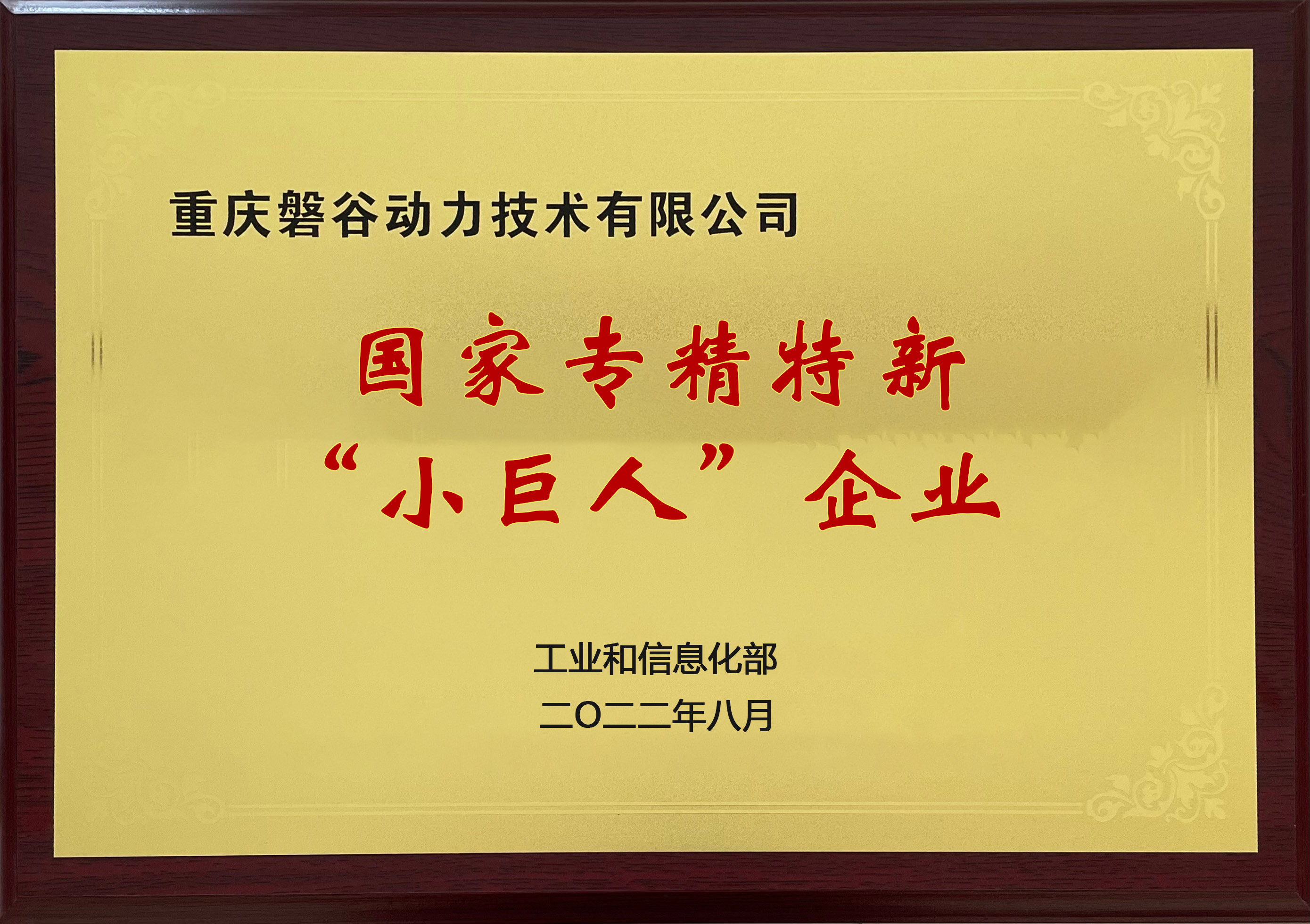 国家专精特新小巨人企业