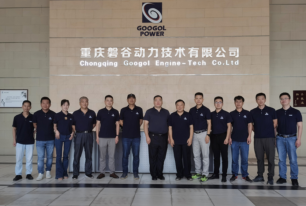 柴油发动机 柴油发动机