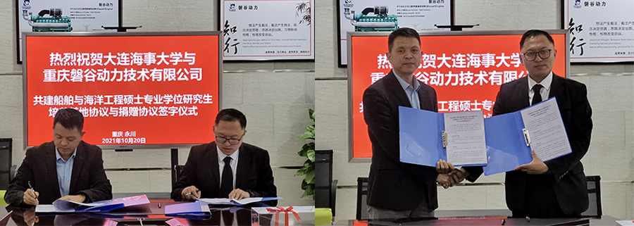 柴油发动机 柴油发动机