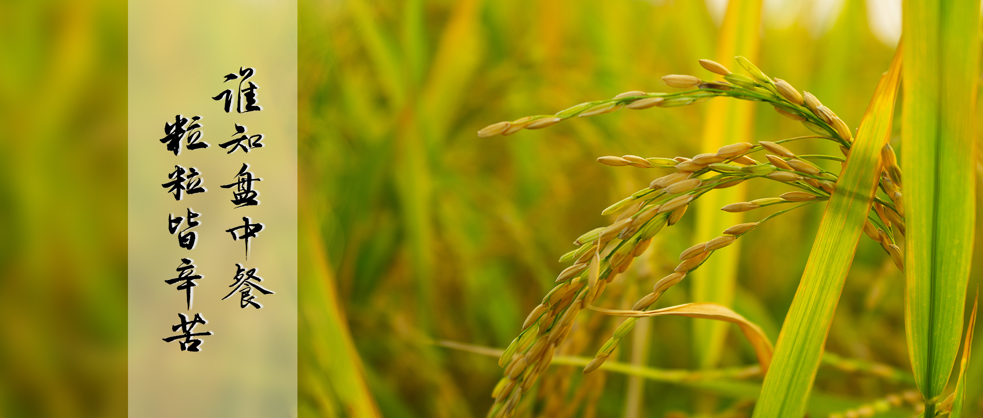 封面.jpg 封面.jpg